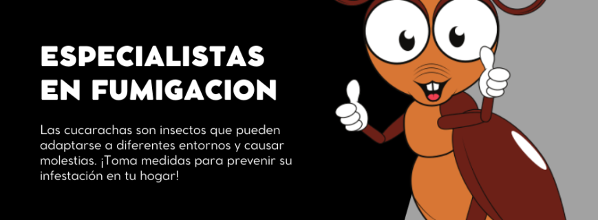 ELIMINAR LAS CUCARACHAS