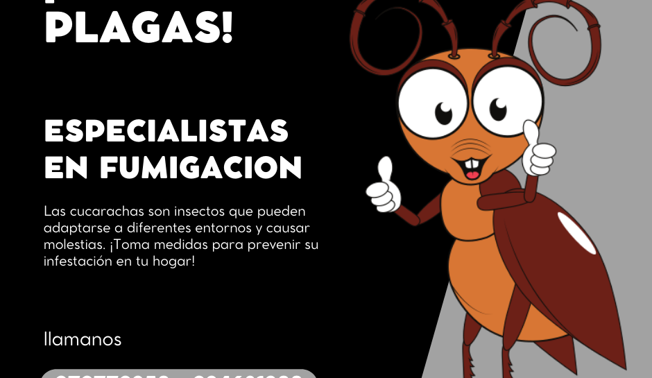ELIMINAR LAS CUCARACHAS