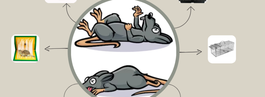 TRAMPAS PARA ROEDORES