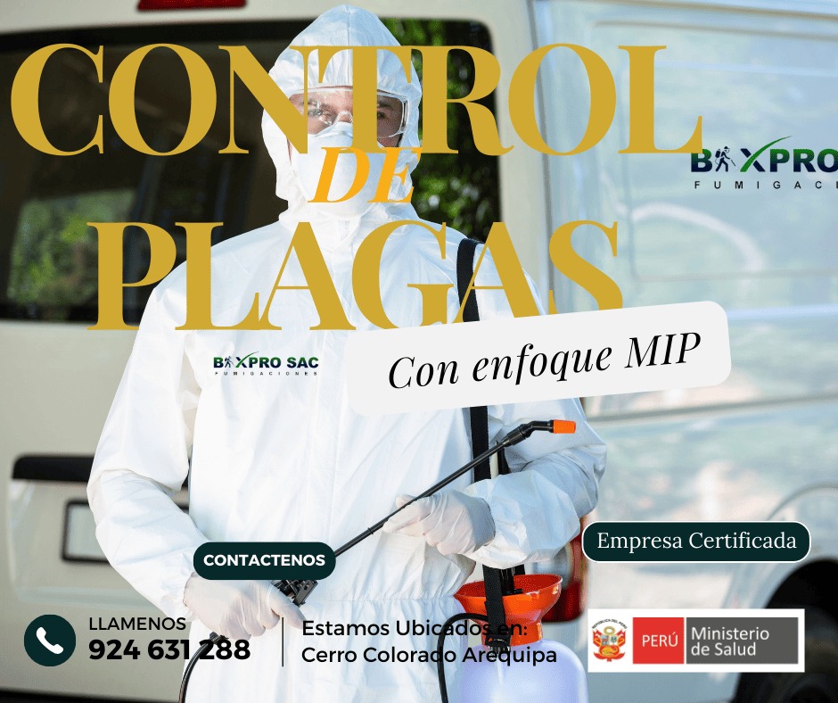 Auditorias internas en el Manejo Integral de Plagas – MIP