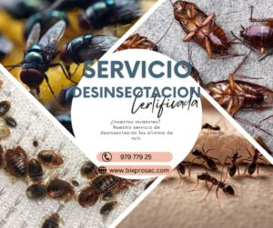 SERVICIO DESINSECTACION