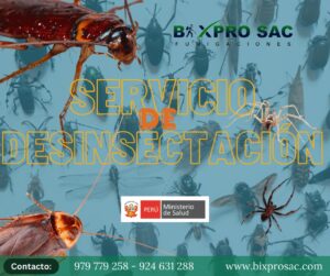 SERVICIO DESINSECTACION