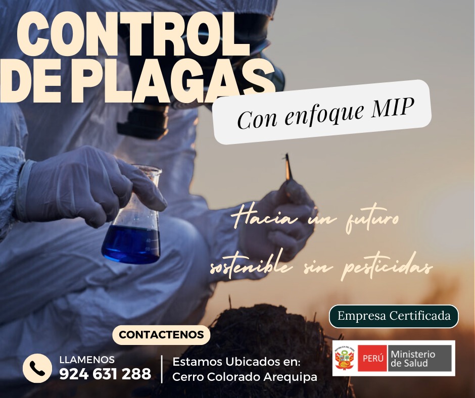 Auditorias Internas MIP