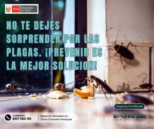 Condiciones que provocan plagas de insectos