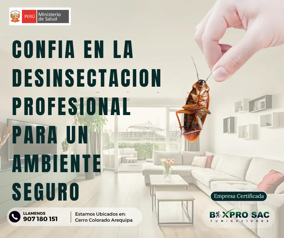 Importancia de la desinsectación Arequipa