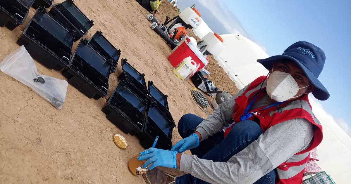 Servicio de Desratizacion Campo