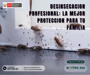 Prevención de Plagas de insectos