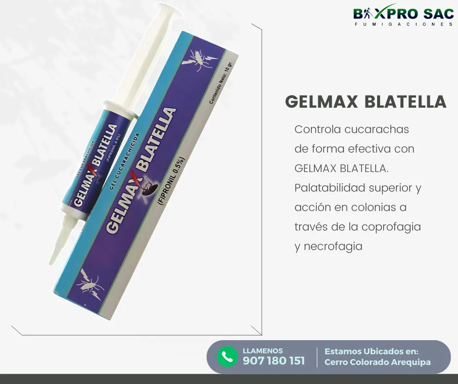 Comparativa del antes y después de usar Gelmax Blatella