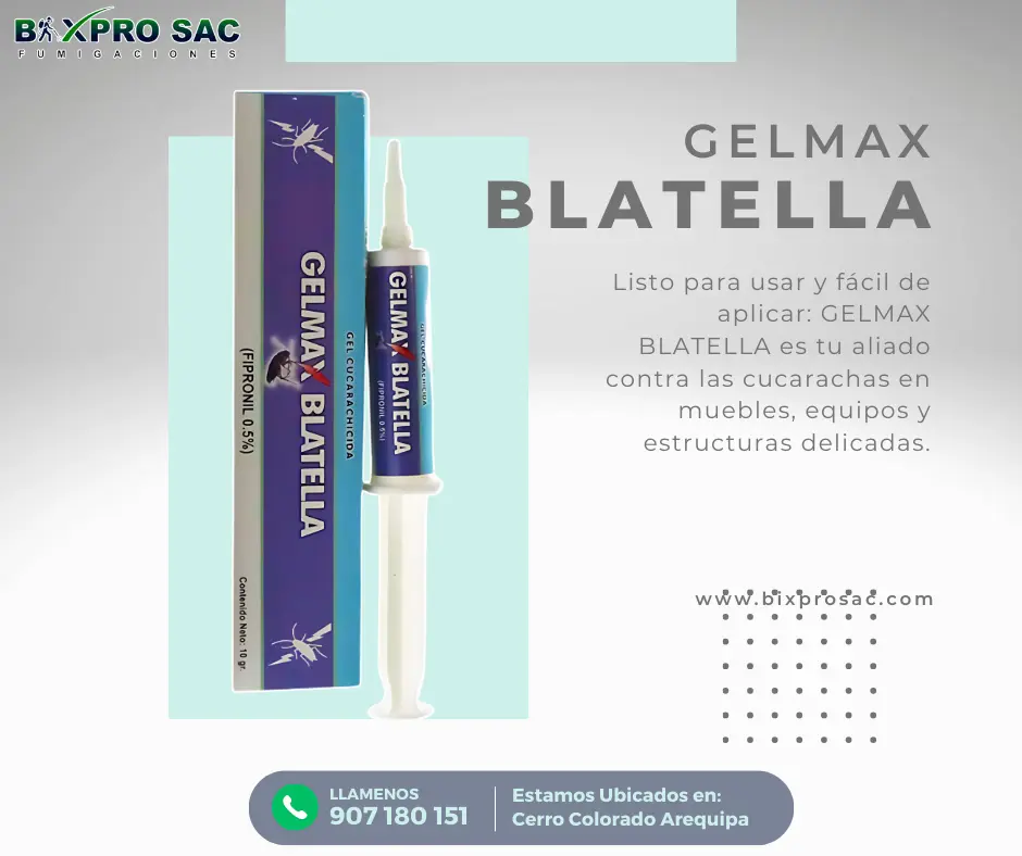 Aplicación del cebo Gelmax Blatella en puntos estratégicos