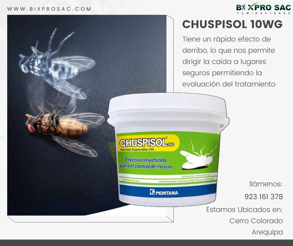 Pulverización de Chuspisol 10 WG para controlar moscas en paredes y techos.