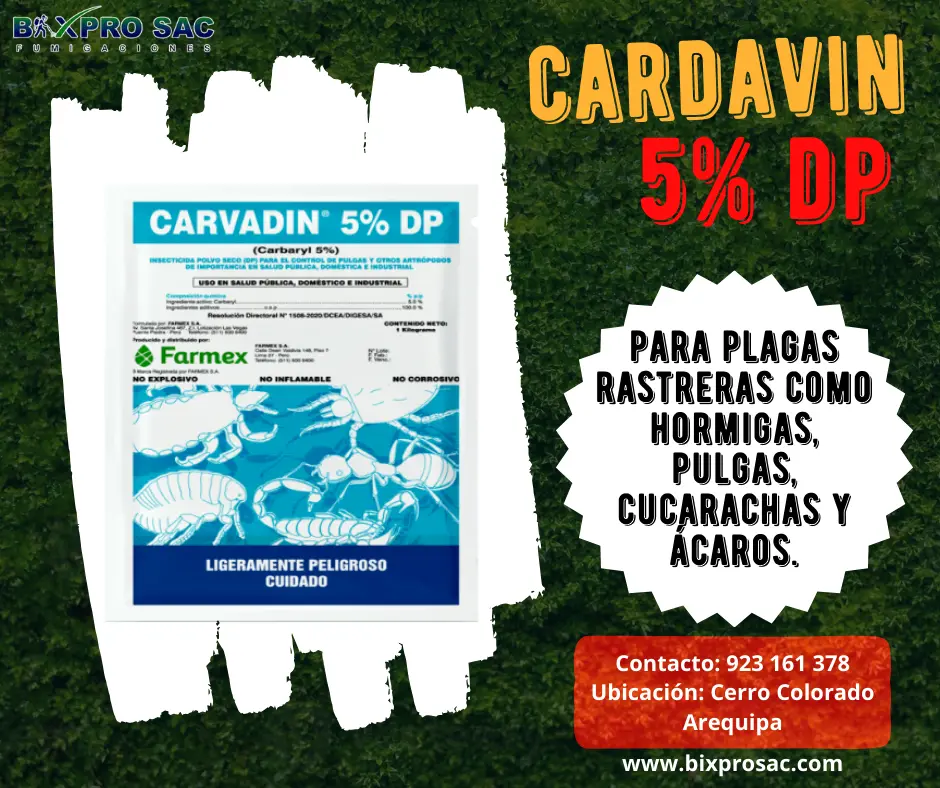 Espolvoreo de Carvadin 5% DP en un gallinero para eliminar ácaros rojos.