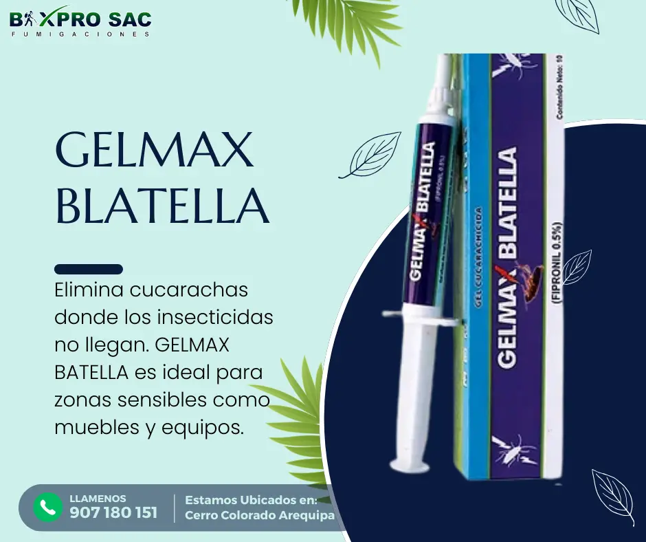 Efecto dominó del Gelmax Blatella en colonias de cucarachas