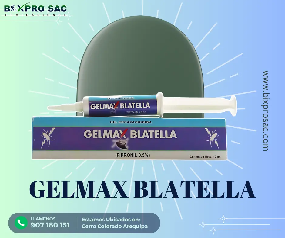 Jeringa de 30 gramos de Gelmax Blatella