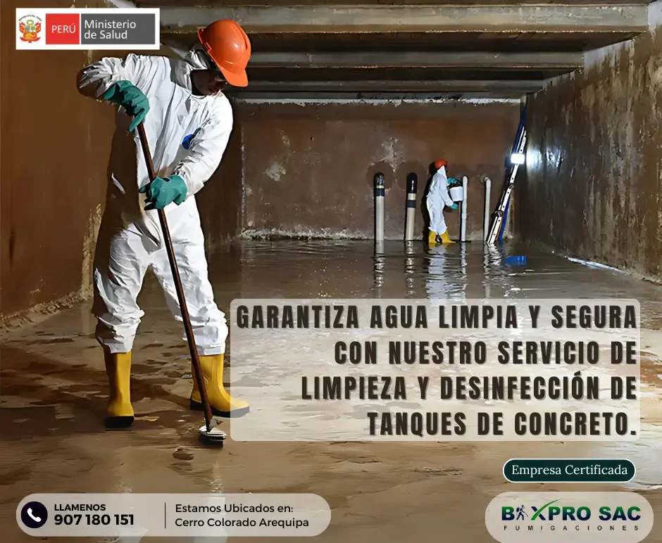 Técnico inspeccionando un tanque de concreto antes de la limpieza.