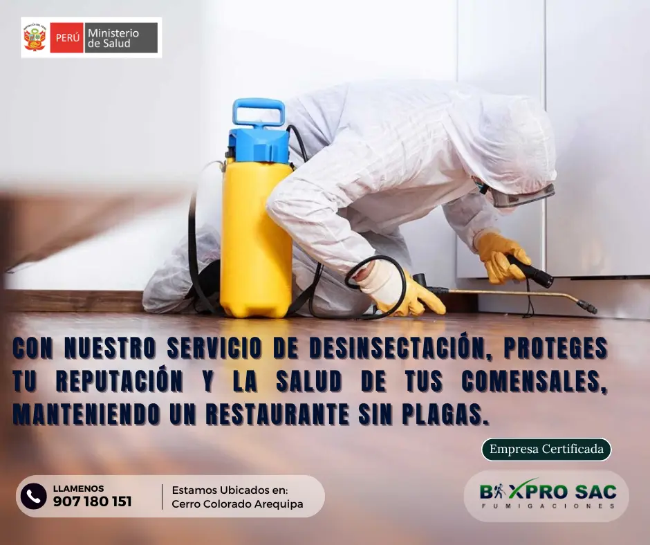 Técnico aplicando desinsectante en una habitación para eliminar insectos.
