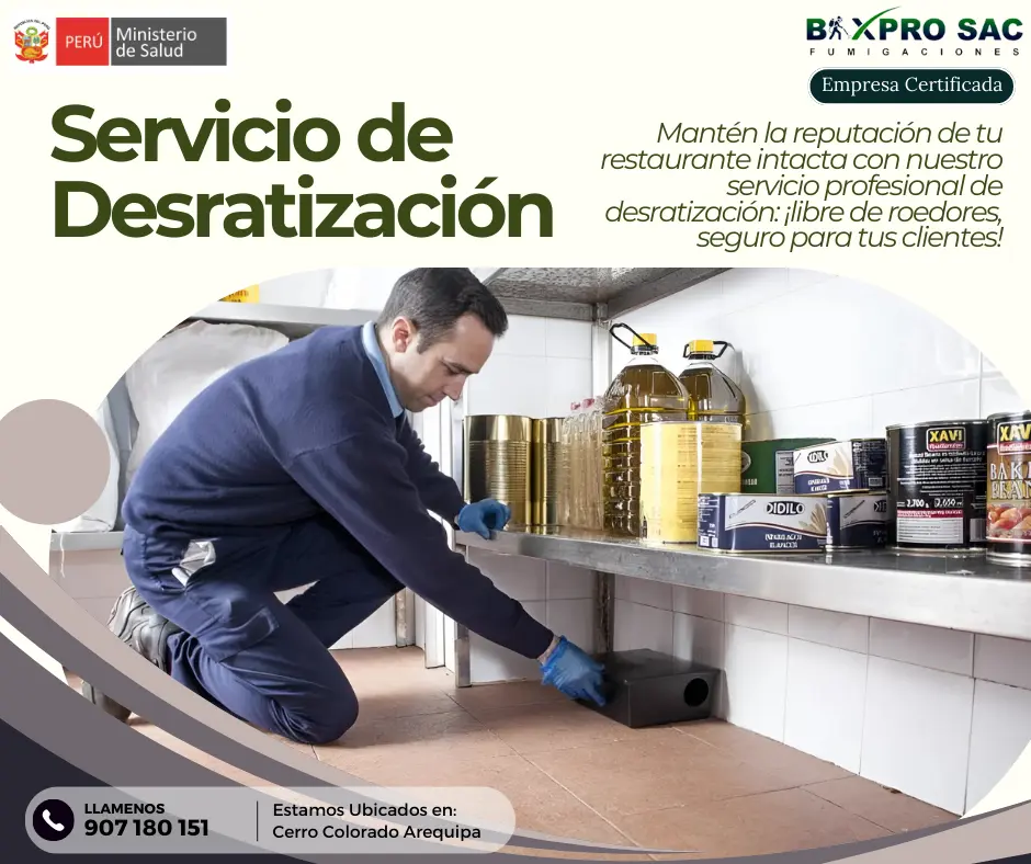 Técnico evaluando una zona infestada por roedores en Arequipa.