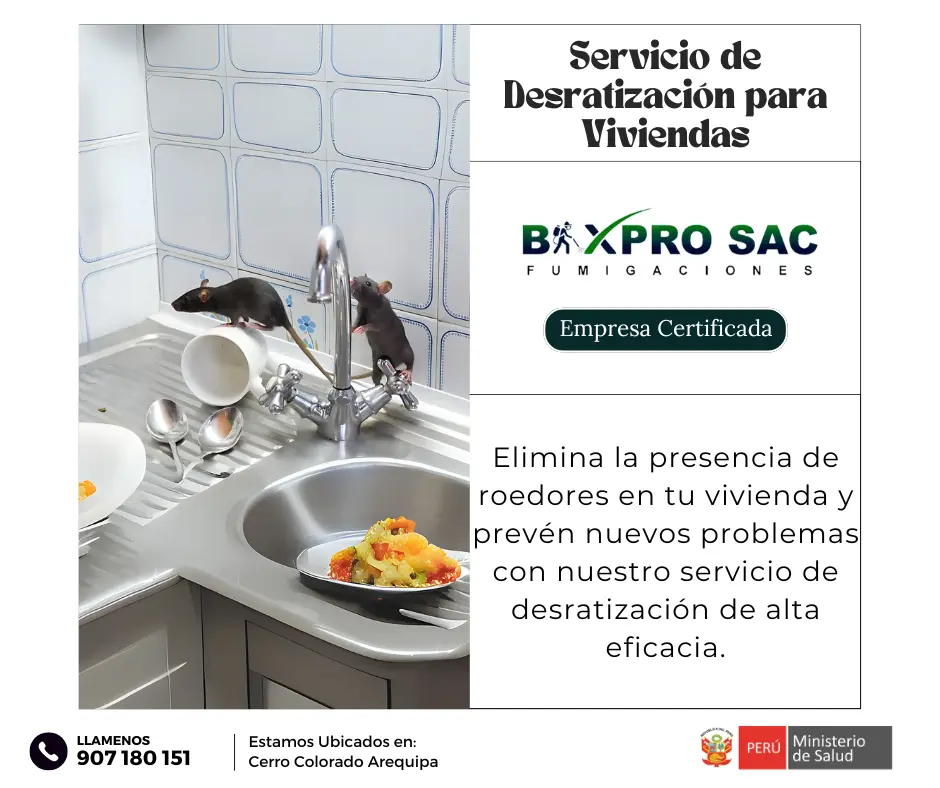 Trampas para roedores instaladas en una cocina comercial en Arequipa.