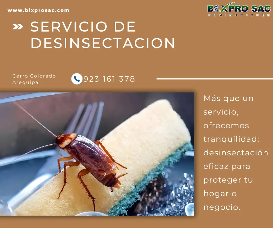 Desinsectación en un restaurante con atención a zonas críticas.
