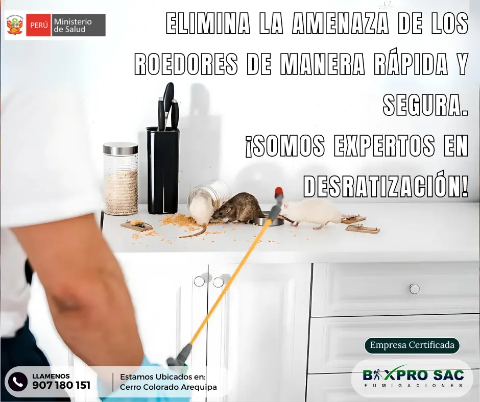 Equipo profesional de Bixpro trabajando en un proyecto de desratización en Arequipa.