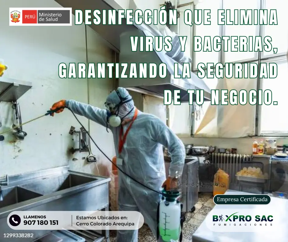 Servicio de desinfección en el interior de un vehículo.