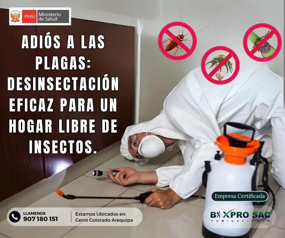 Revisión de área tratada para verificar resultados de desinsectación.