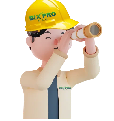 vision de la empresa bixpro sac