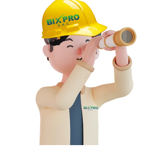 vision de la empresa bixpro sac