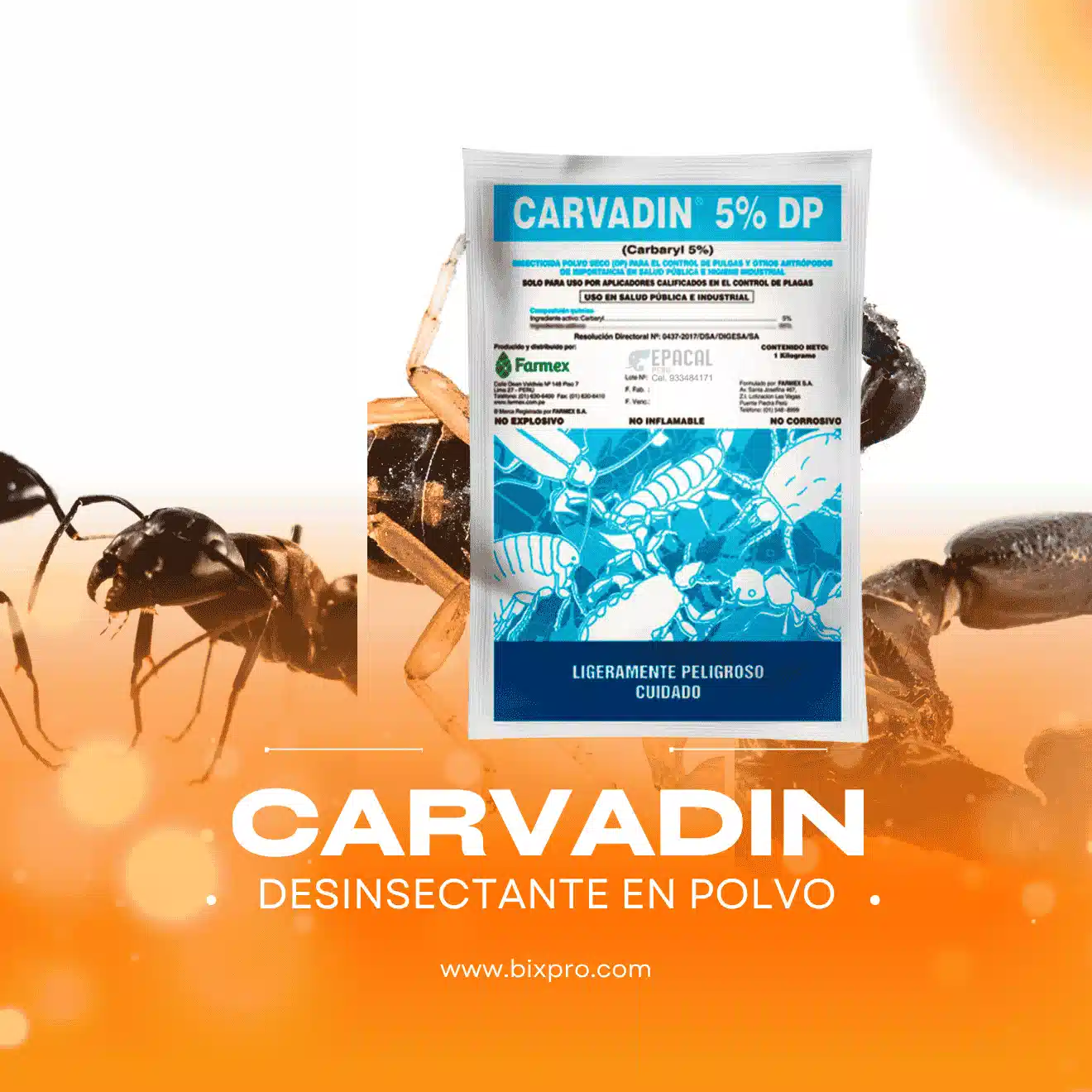 Uso de Carvadin 5% DP para el control de pulgas en el hogar.