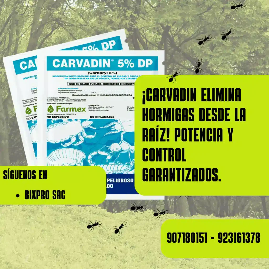 Espolvoreo de Carvadin 5% DP en un gallinero para eliminar ácaros rojos.